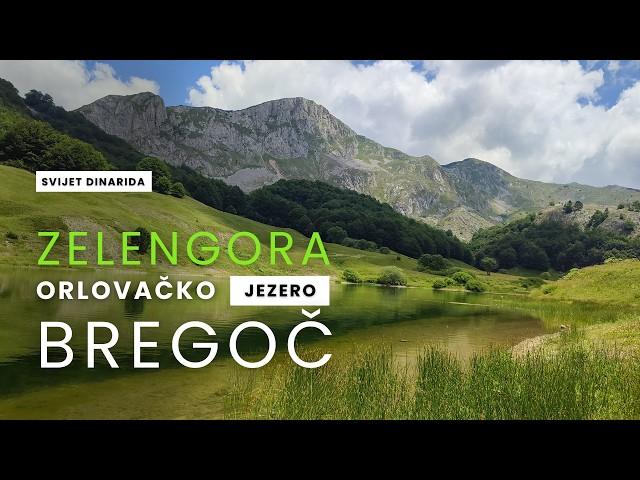 ZELENGORA #planinarenje | Bregoč & Kozje strane | Orlovačko jezero