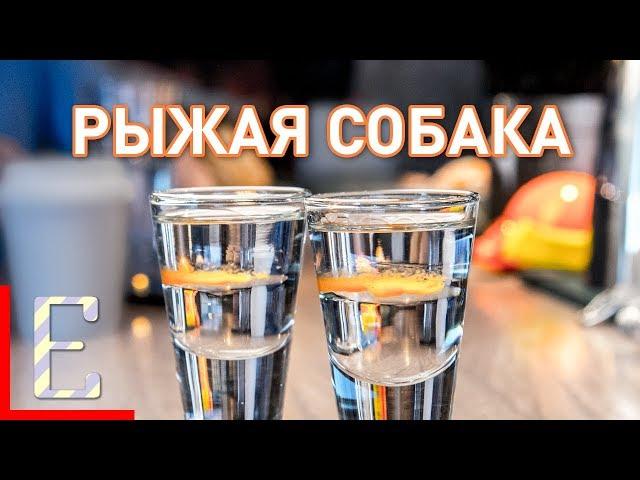 Рыжая собака — рецепт коктейля Едим ТВ