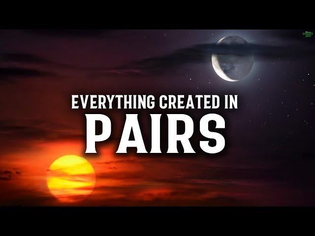 ALLAH'S WISDOM BEHIND CREATING EVERYTHING IN PAIRS