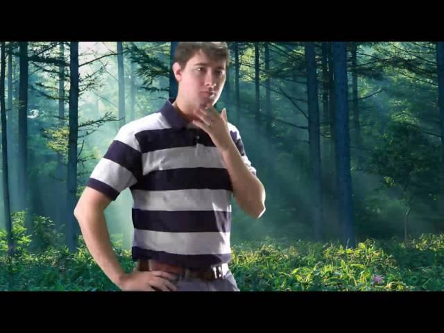 Green Screen Test: Stewart in the Forest