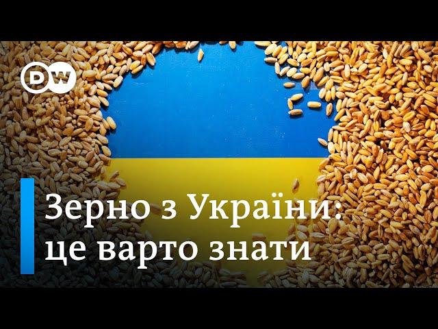 Зерно на продаж: чому це так потрібно Україні і світу? | DW Ukrainian