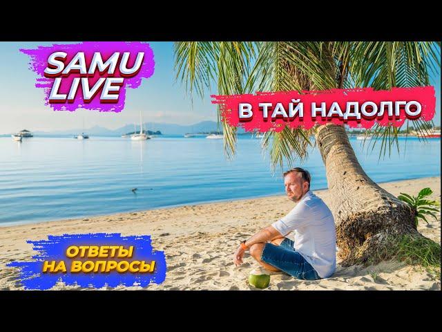 Самуи Live //  Как уехать в Таиланд надолго? // Сколько нужно денег?