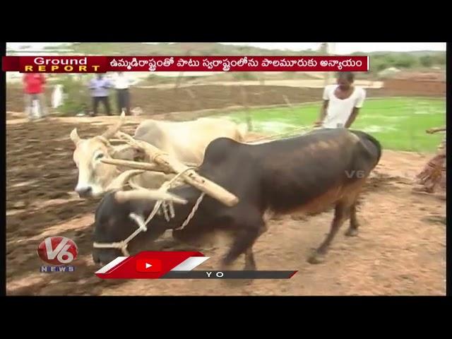 Ground Report On Palamuru Rangareddy Project Pending Works , Public Migrate For Jobs | V6 News