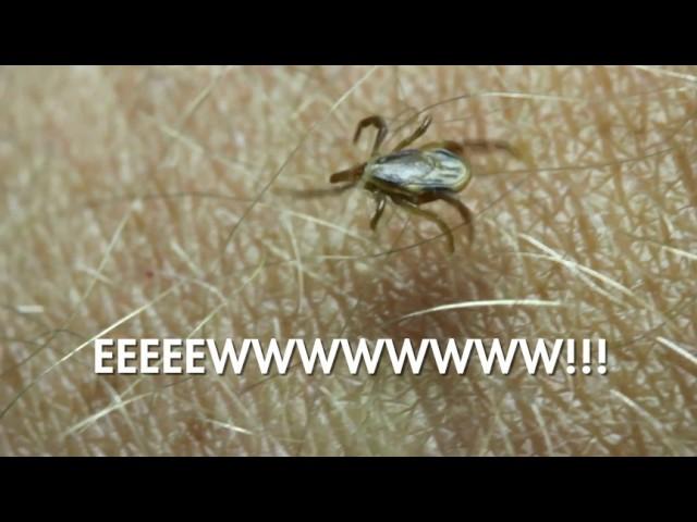 Physicians Urgent Care - Ticks :15sec