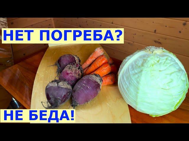 Хранение овощей зимой без погреба.