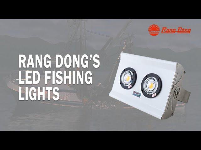 Rang Dong LED Factory Tour || LED Fishing Lights Production Line - Episode 8