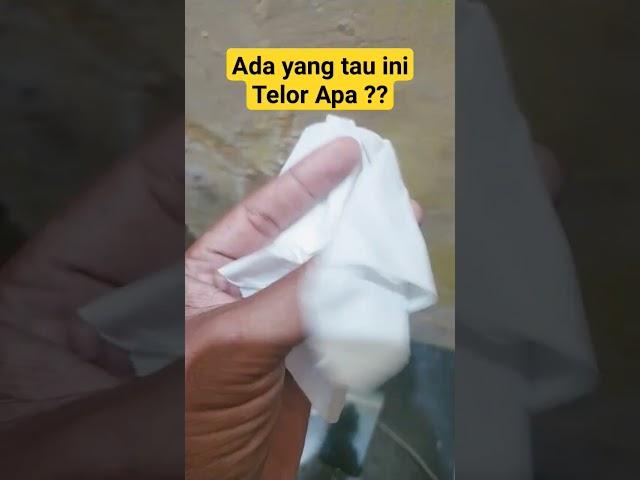 Laki Punya Hobi - ini telur apa gaes ?? yang tau jawabanya segera komen ya...