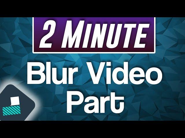 Filmora X : How to Blur Part of Video