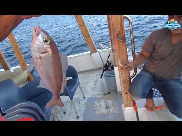 Balıklar Coştu Maşallah! Tekne Avlari için Takımlar, Yemler ve Taktikler