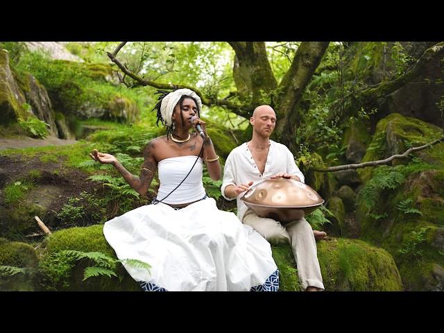 Song from the Forest | 432Hz Sound Healing | Malte Marten & Chantress Seba