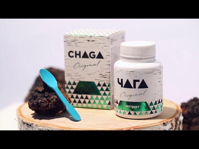 Extract CHAGA ORIGINAL - making a drink