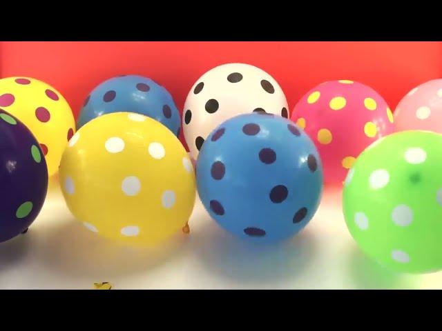 Balon meledak. Learning colors. Polka dots!