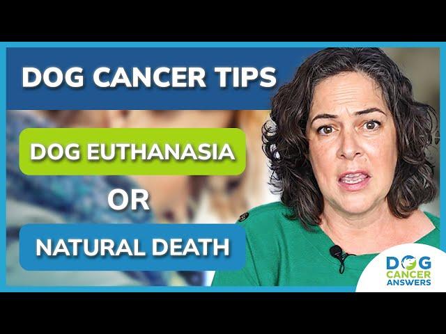 Dog Cancer Tip: Dog Euthanasia or Natural Death? | Molly Jacobson