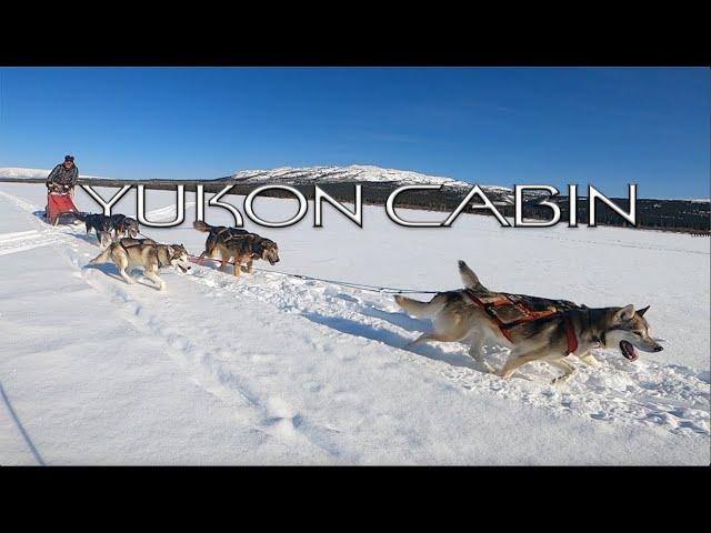 Yukon Dogsledding - Mushing a Team of Alaskan Huskies - Cabin Life E.5