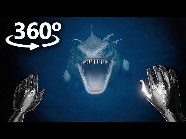 UNDERWATER in 360° VR / 4K 