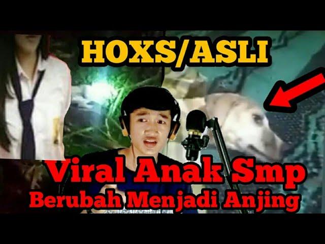 Viral Video Anak SMP Berubah Menjadi Seekor Anjing Di Lombok