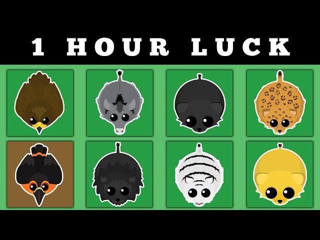 ULTIMATE 1 HOUR LUCK CHALLENGE in MOPE.IO AFTER NEW UPDATE !!