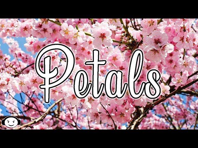 Petals (prod  Bigg Colt)