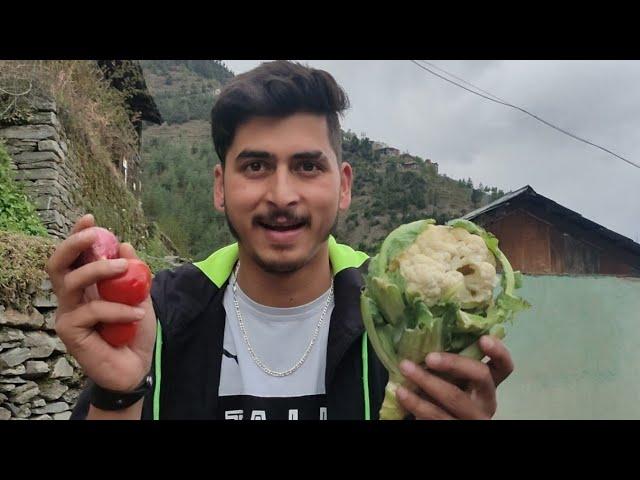 Farming In My Village | Himachal Pradesh Village life hard work