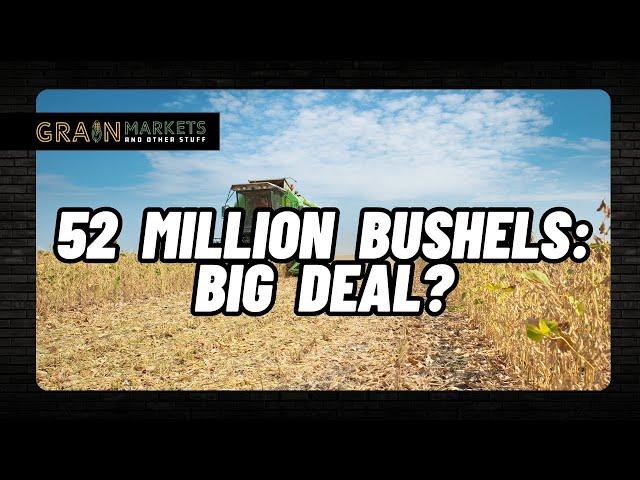 52 Million Bushels of Corn: Big Deal?? + Dockworker Strike