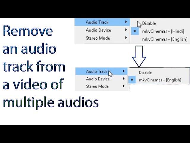 How to remove an audio track from a video file of multiple audios through MKVToolNix GUI