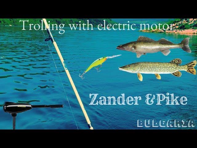 Pike fishing and a large zander with a wobbler rapala