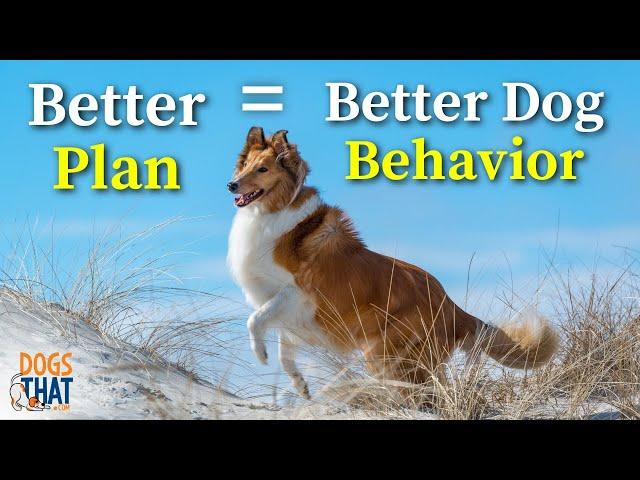 Forget Perfect In Dog Training! Better Starts With A Plan