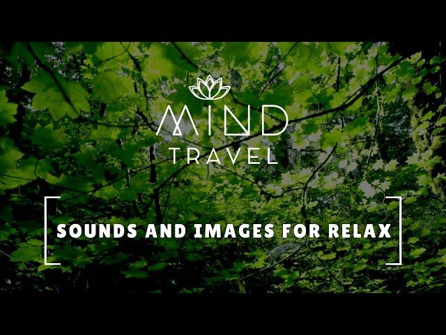 MIND TRAVEL - Music for Relax - Music for Meditation - Sounds to Relax the Mind