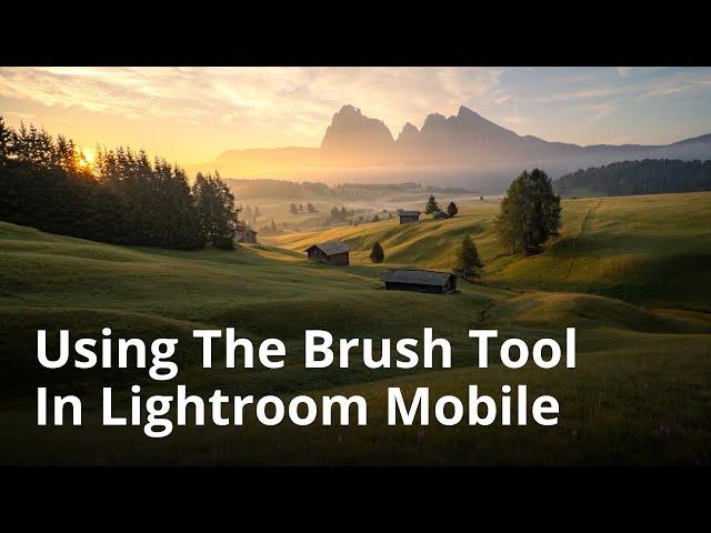 Quick Tips On How To Use The Brush Tool In Lightroom Mobile