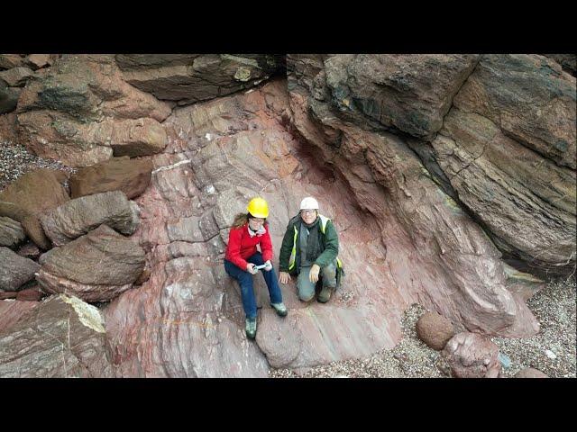 377 Million Year Old Tree Fossil Excavation - English Riviera UNESCO Global Geopark