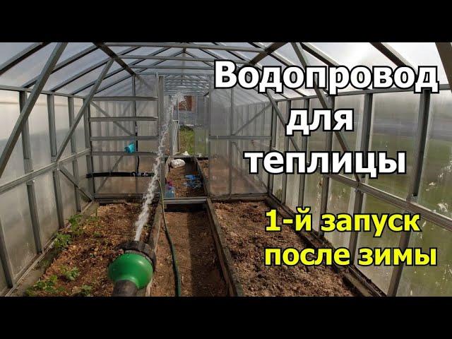 Еврокуб для полива. 1-й запуск после зимы