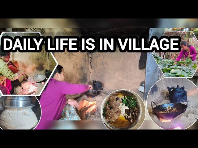 Daily life is in village || Sembuchha Vlogs