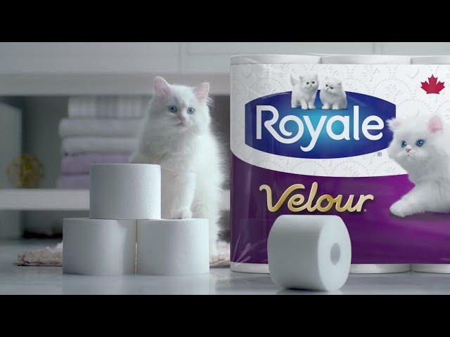 Royale Velour