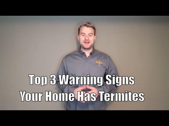 Top 3 Warning Signs Your Home Has Termites