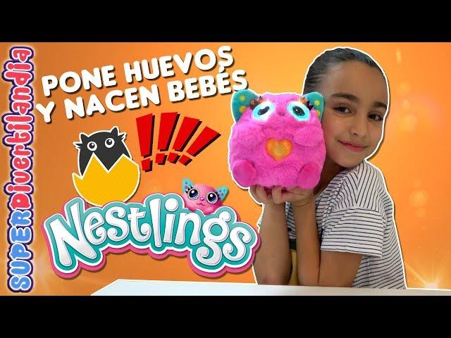 NESTLINGS de Goliath! Pone HUEVOS y nacen sus BEBÉS. Nuevos Juguetes 2019