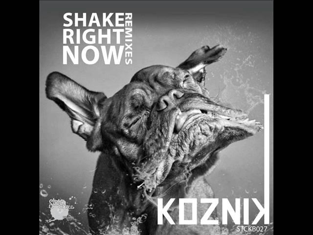 Koznik - Shake Right Now VIP