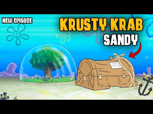 munculnya krusty krab Sandy  alur cerita kartun Spongebob