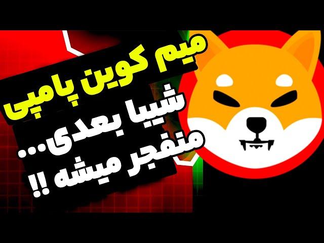 شیبا بعدی این شت کوین هستش !! شیبا پامپ خواهد داشت همین الان بخریم ...