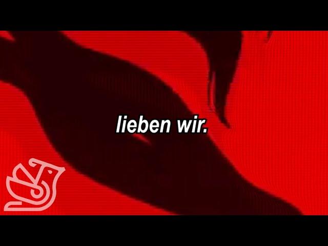 Shirin David - Lieben Wir (𝙨𝙡𝙤𝙬𝙚𝙙 + 𝙧𝙚𝙫𝙚𝙧𝙗)