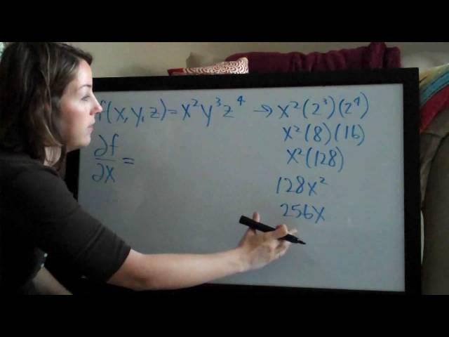 Partial Derivatives (KristaKingMath)