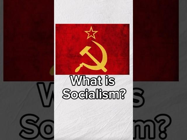 What is Socialism? Socialism Explained in 60s! #politics #shorts