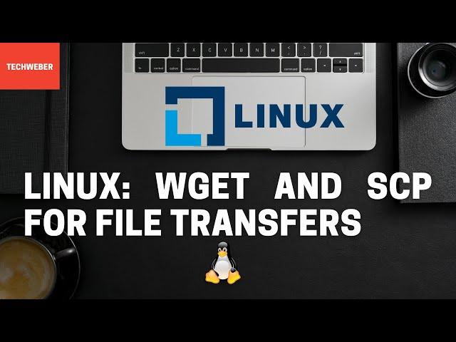 Learn how to transfer files using wget and scp commands in Linux (in 6 minutes)