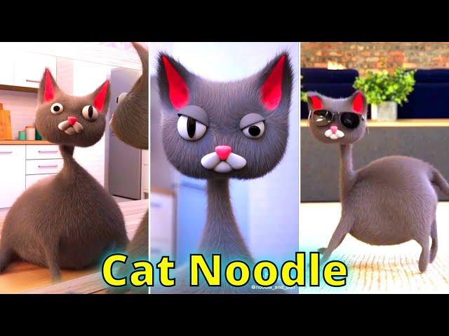 Cat Noodle and Bun. Cat Noodle TikTok Compilation