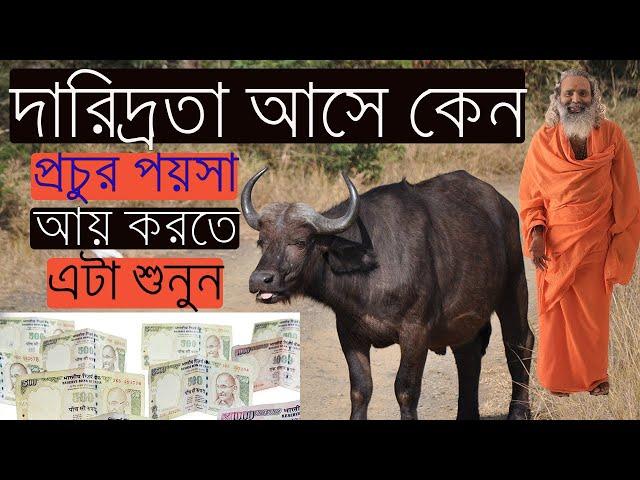 দারিদ্রতা আসে কেন | প্রচুর পয়সা করতে শুনুন |  Motivation Cube | Best Motivational Speech Bangla