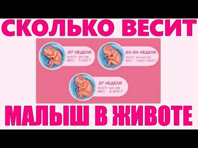 ВЕС РЕБЕНКА ВО ВРЕМЯ БЕРЕМЕННОСТИ | 10 признаков того что у вас родится крупный малыш