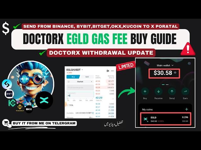 DoctorX EGLD Gas Fee Guide : How to Add & Send EGLD Gas Fee for DoctorX Withdrawal