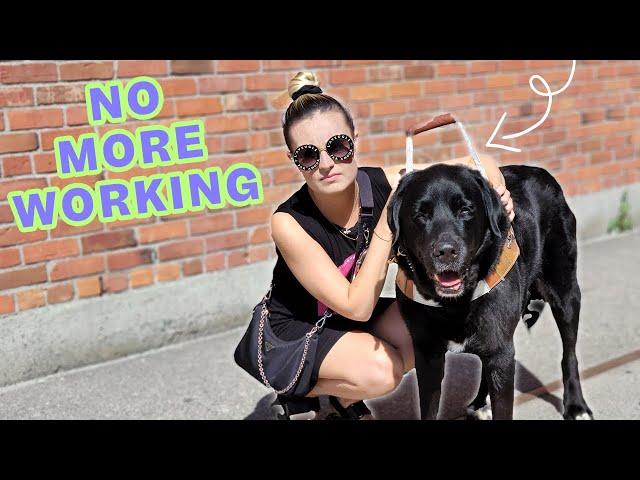 Final In-Harness Walk with My Guide Dog… (very emotional)