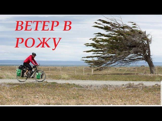 Ветер в рожу (Черный Ярл song)