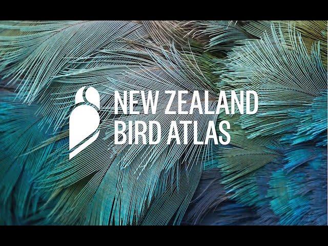 NZ Bird Atlas Launch Video (Full Length)