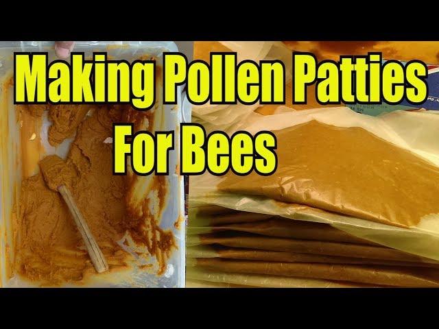 Making Pollen Patties For Bees